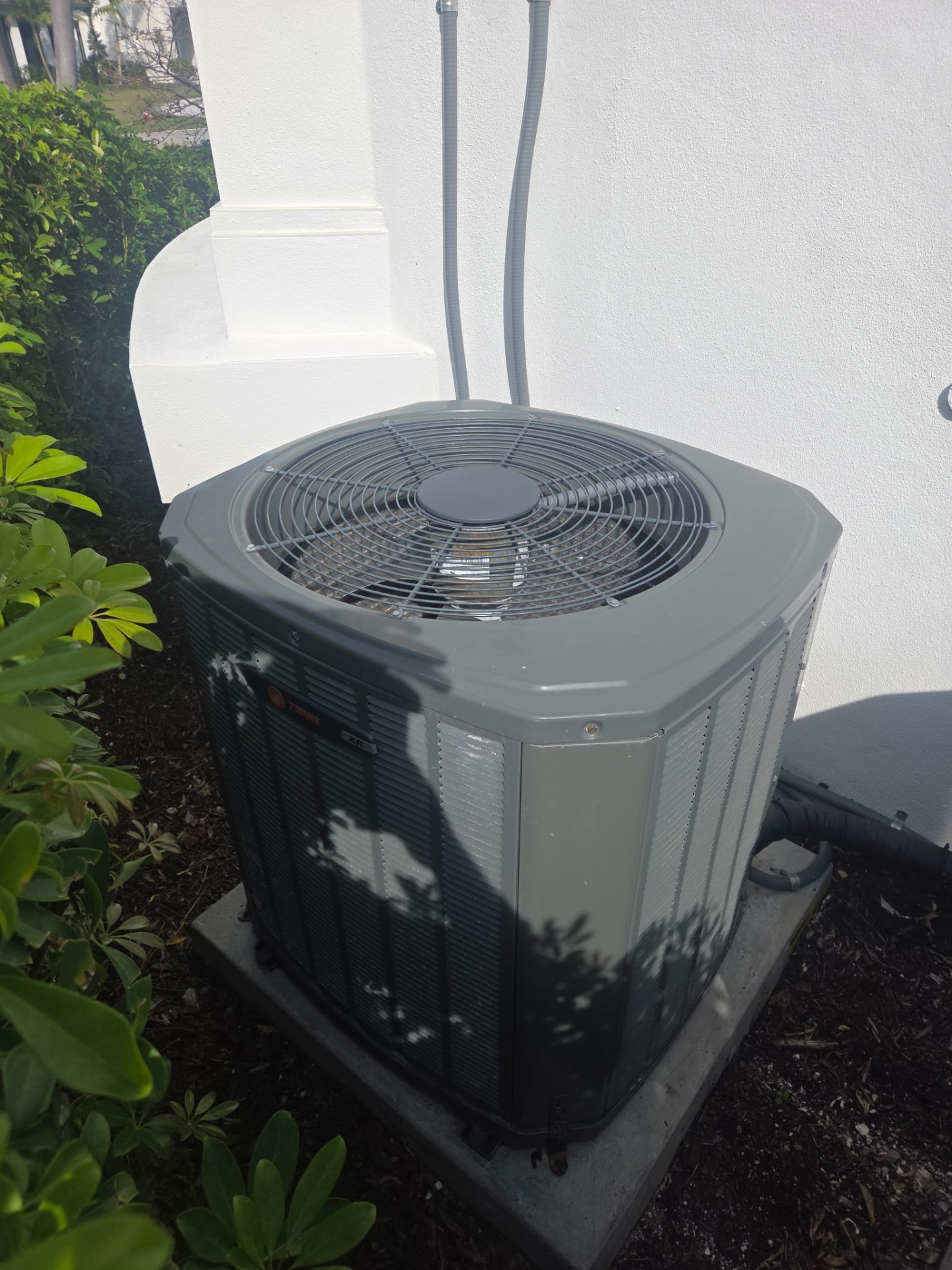 Trane commercial rooftop refrigeration unit serviced by AC Assurance